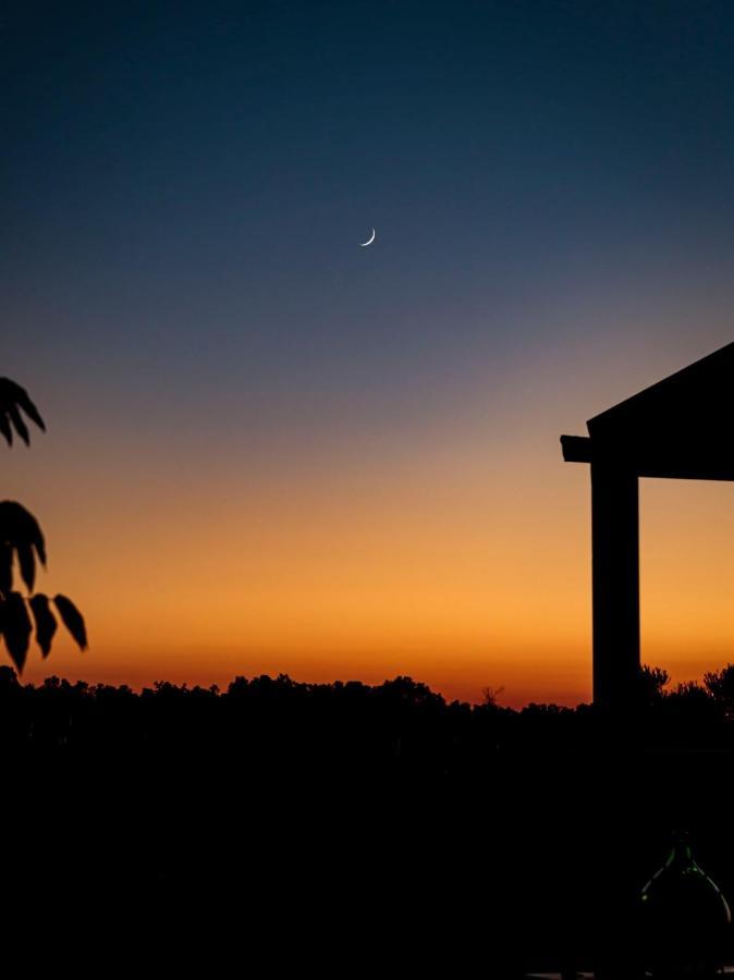Villa Casale Conte Dell'Anna Porto Cesareo Exterior foto
