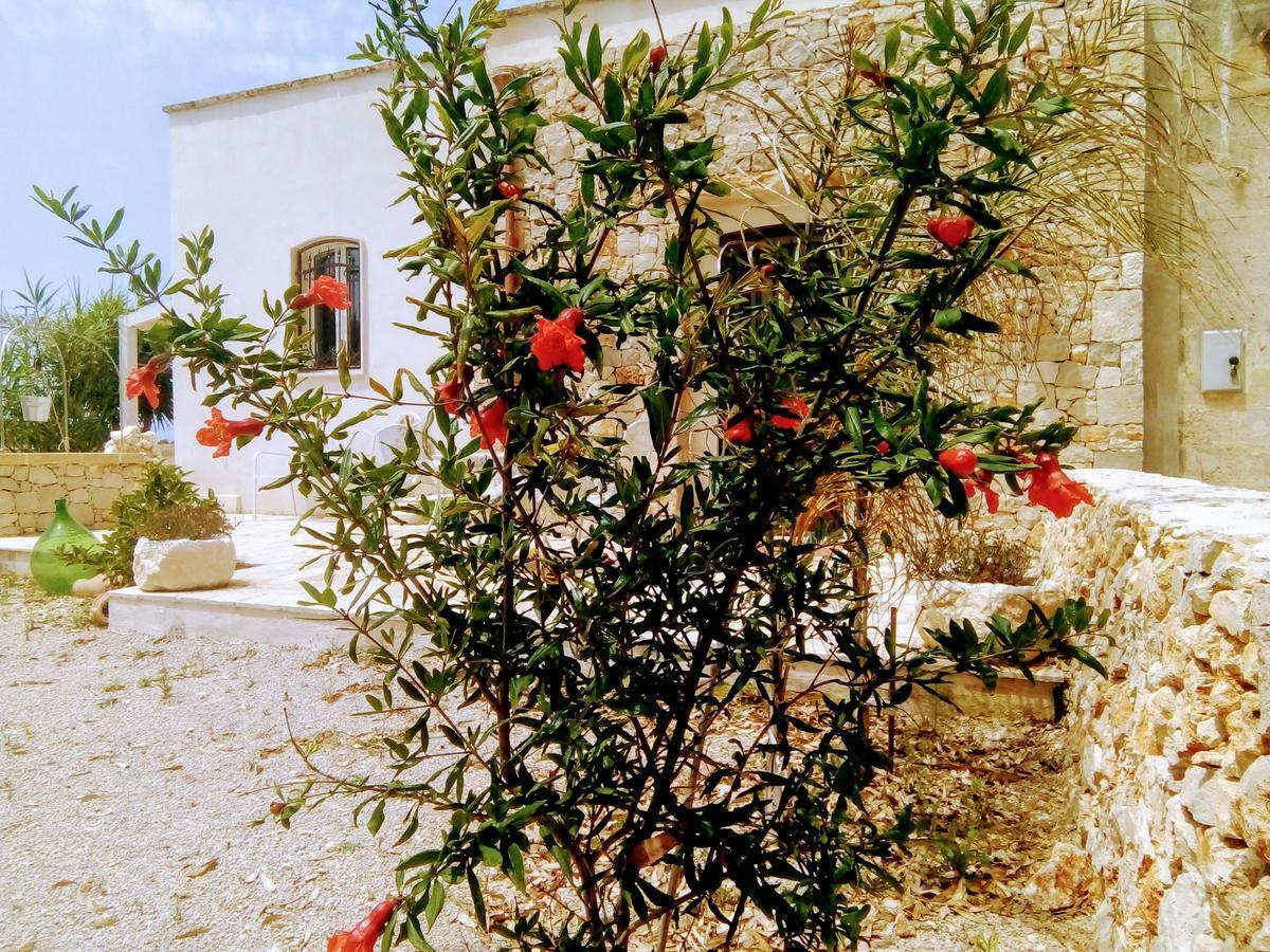 Villa Casale Conte Dell'Anna Porto Cesareo Exterior foto